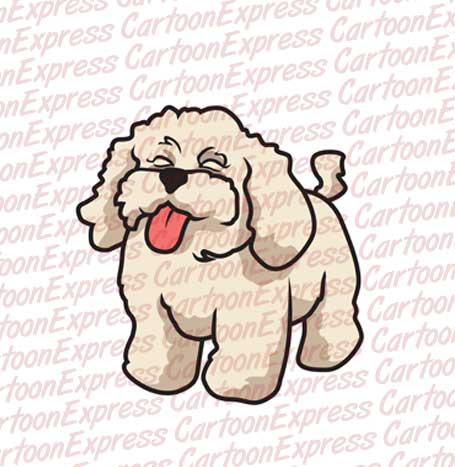 poodle